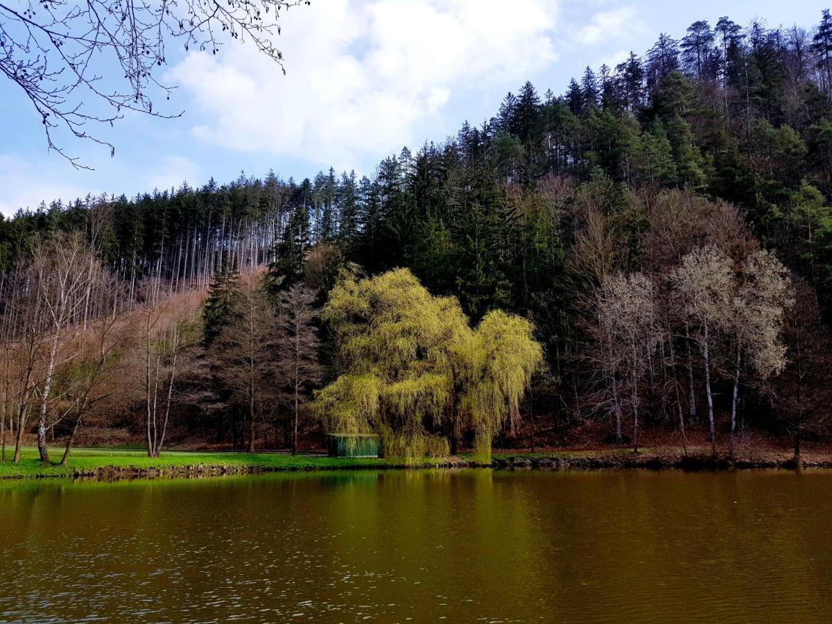Country house Schupplerova *